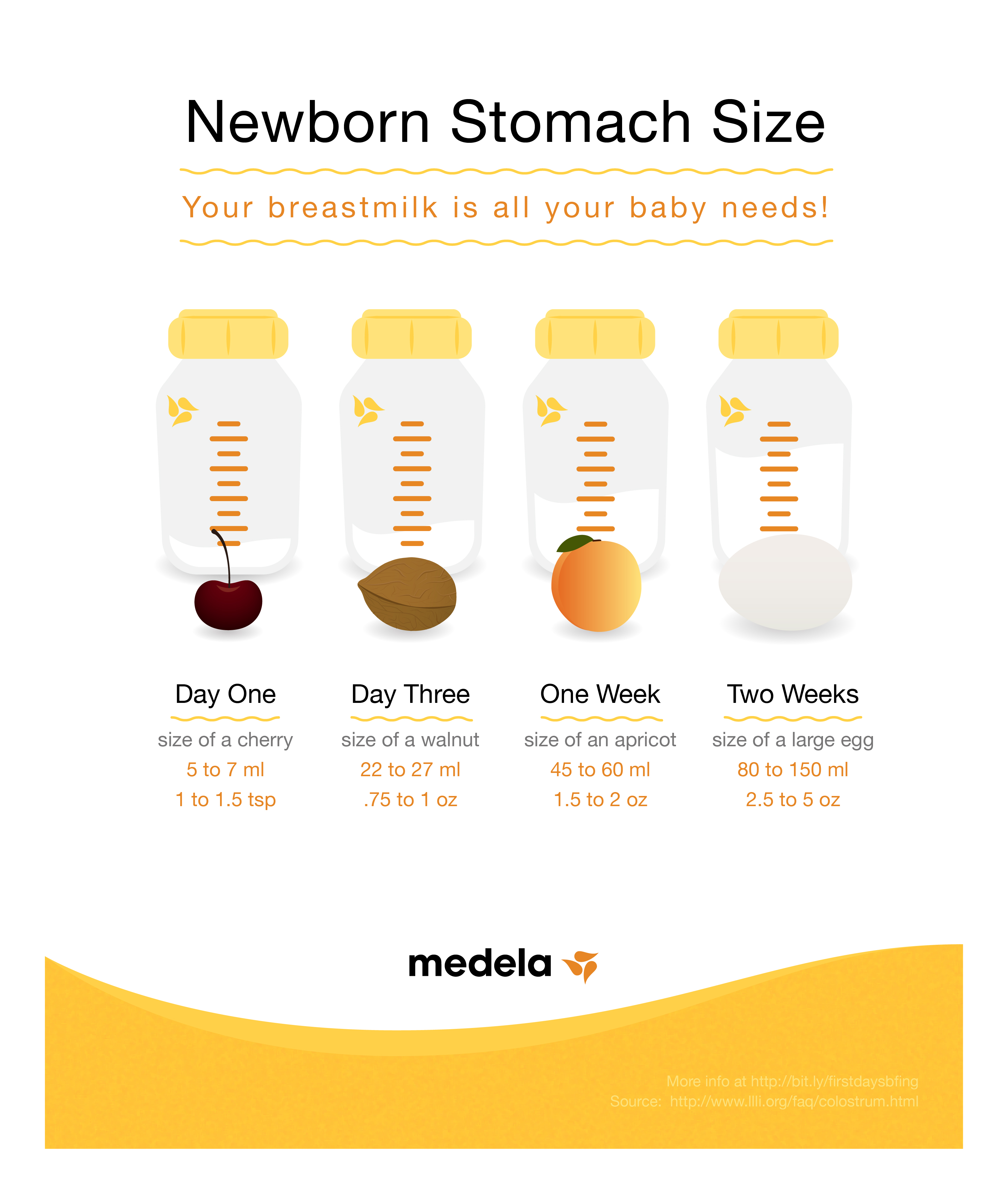 Newborn Stomach Size from Medela