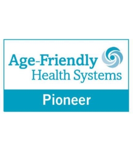 ACE Pioneer Logo