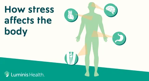 How Stress Affects the Body