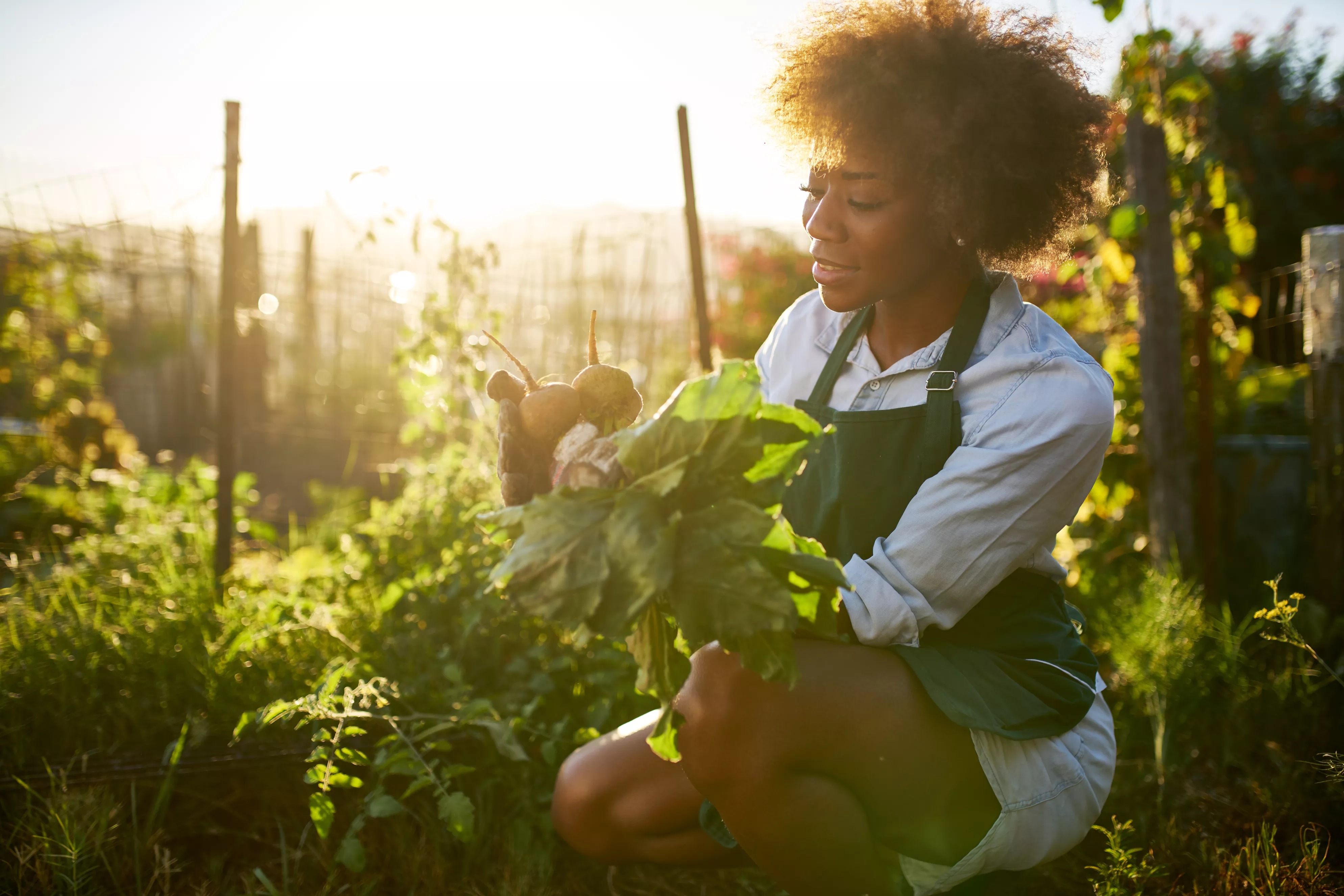 Gardening