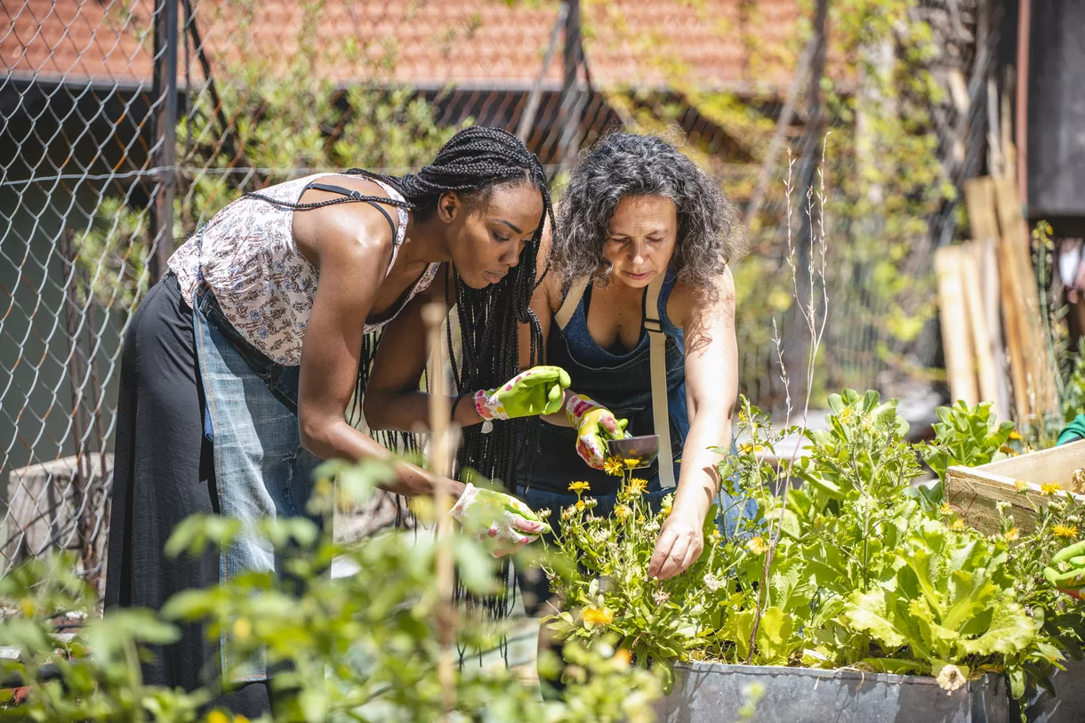 Community Gardening