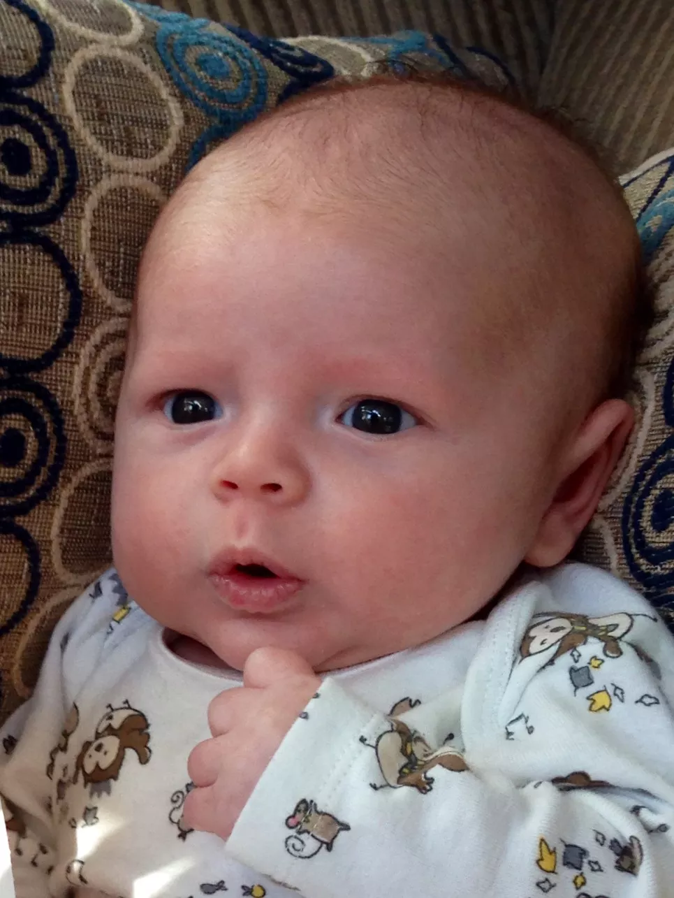 Beckett DeBoer Blog Pic