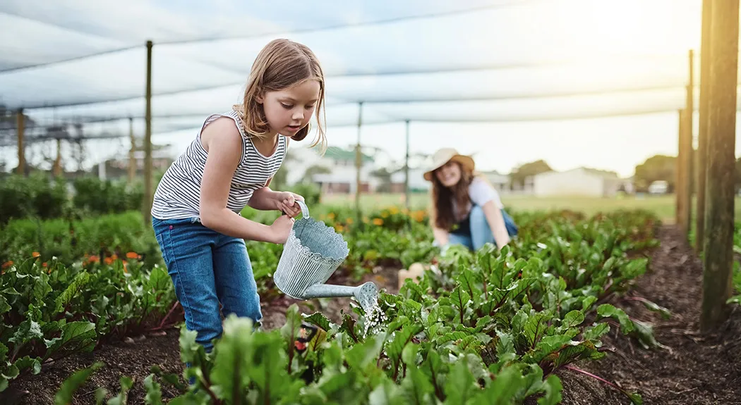 Diet and environment