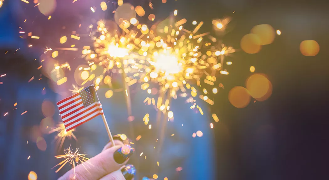 Fireworks Safety
